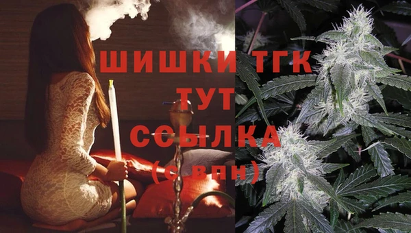 эйфоретик Нефтекумск