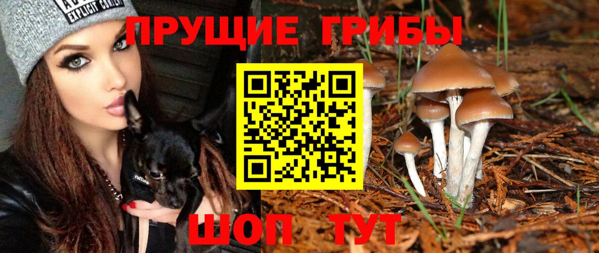 Псилоцибиновые грибы мицелий Кизляр