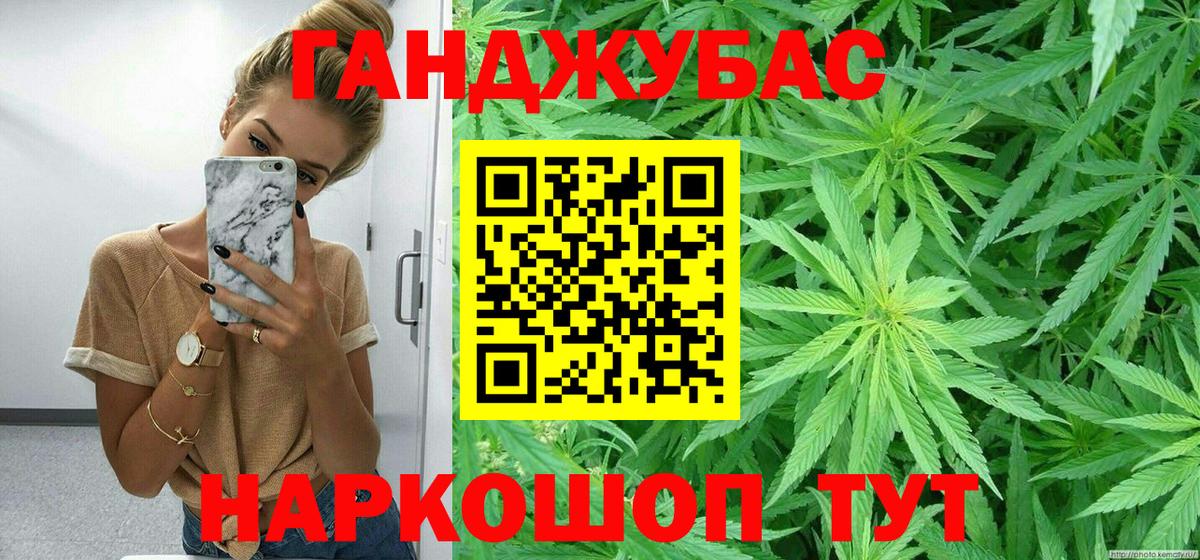 Каннабис сатива Кизляр